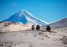 imagen_2021-07-26_121620