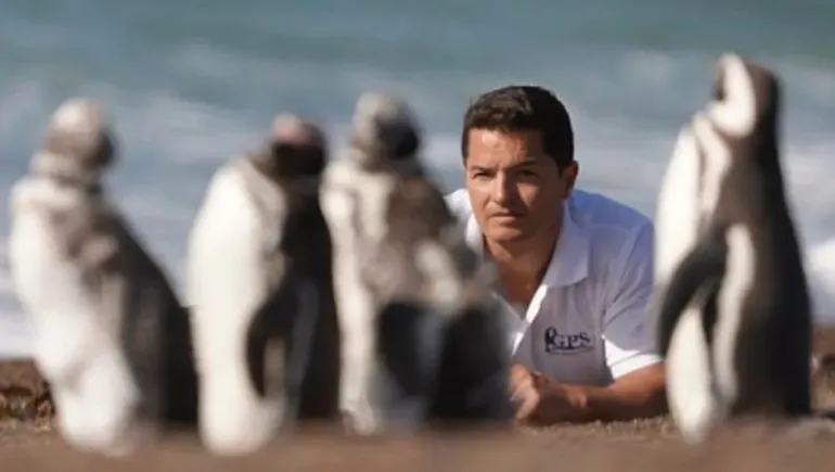 juan-pablo-garcia-borboroglu-pinguinos