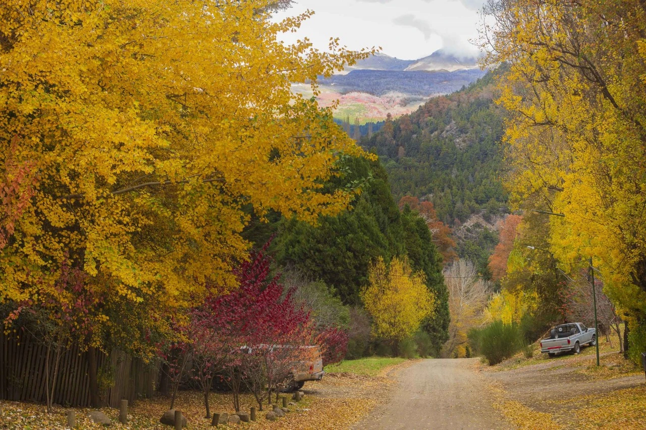 Colores de la Cordillera