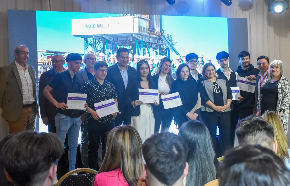 Practicas profesionalizantes III