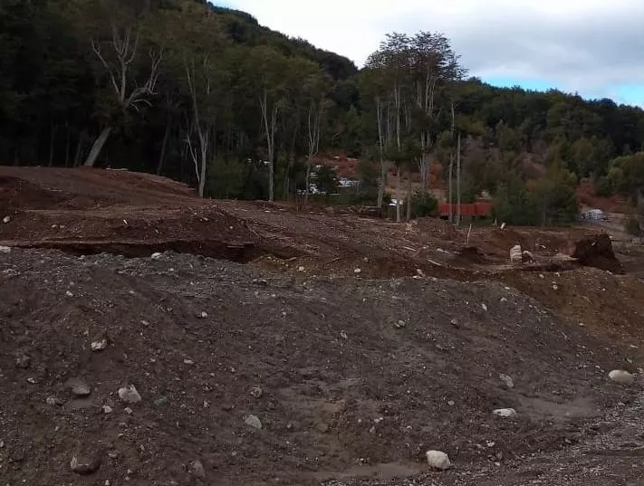 imagen_2021-11-23_205352