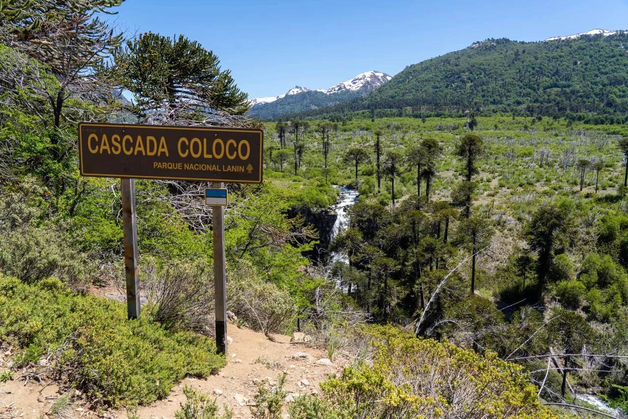 WhatsApp Image 2022-12-09 at 10.09.51