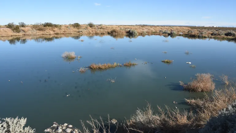 sfp-contaminacion-actuales-piletas-oxidacion-frente-al-cam-9jpg