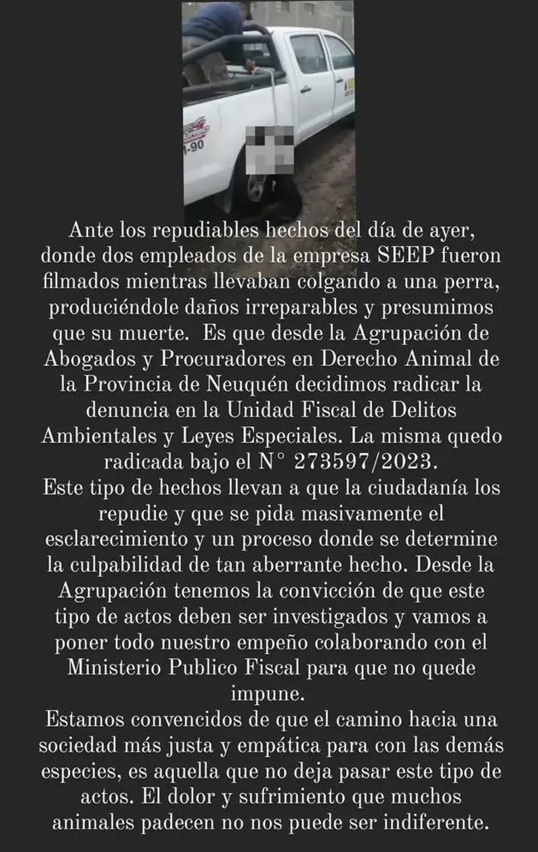 denuncia-perra-colgando-centenariojpeg