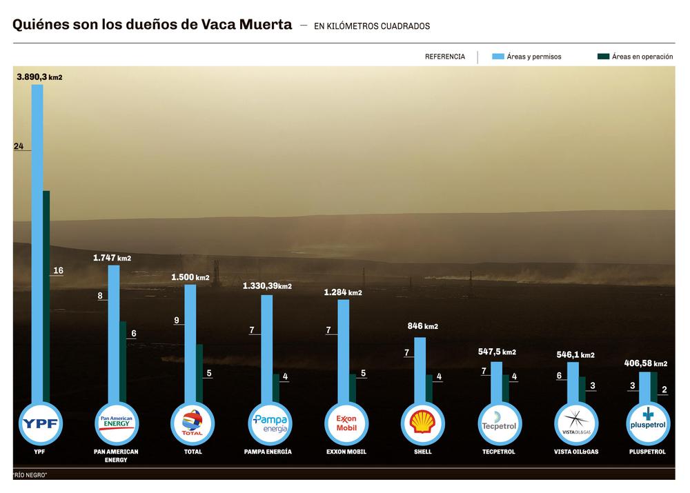 Quienes-son-los-duenos-de-Vaca-Muerta-1