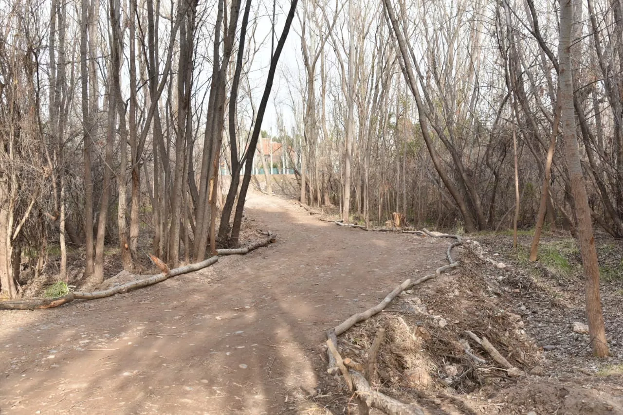 unnamed - 2022-08-22T162144.917