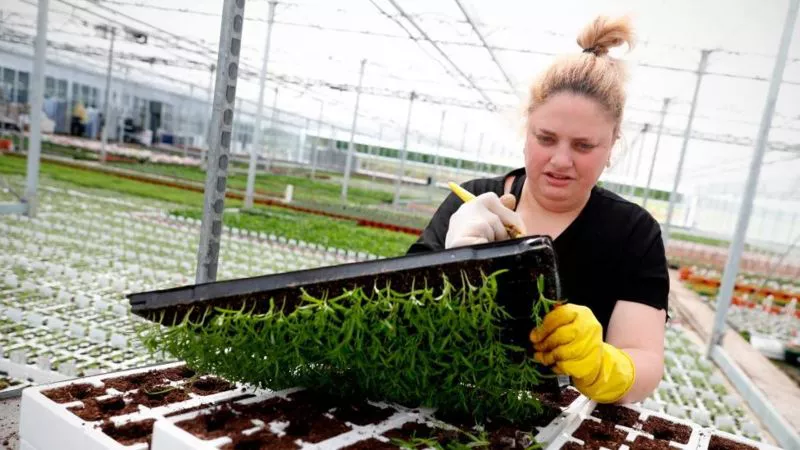 _128866809_gettyimages-1211734991