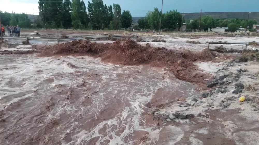 imagen_2021-11-09_201601