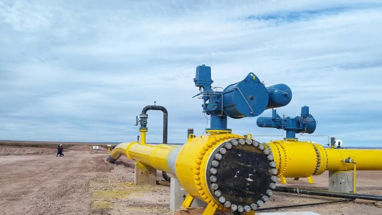 imagen_2023-07-10_200306309