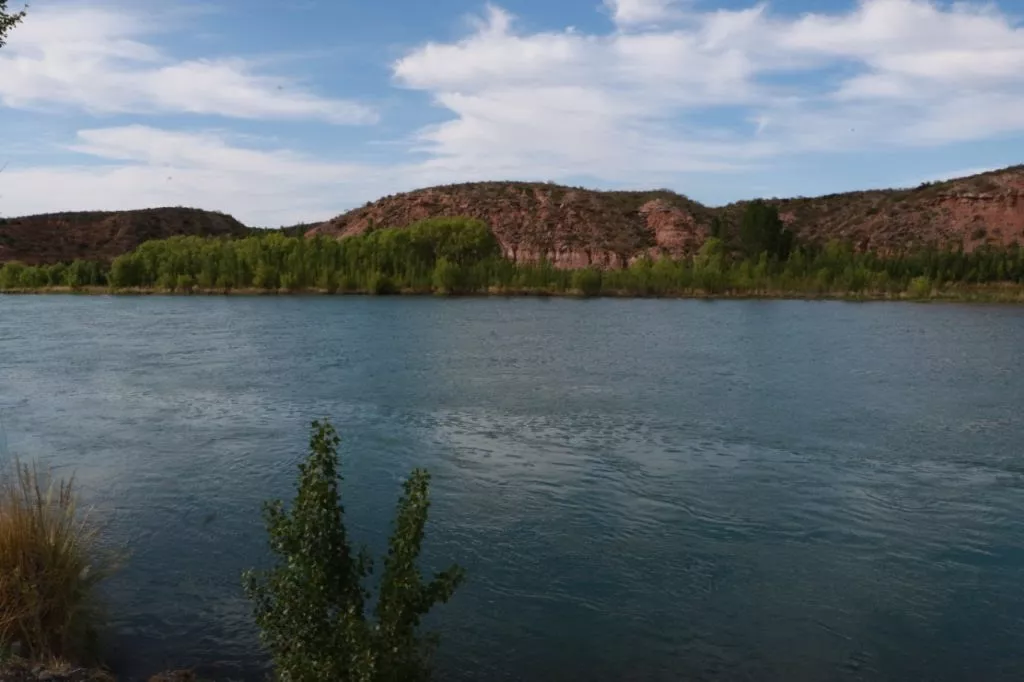 unnamed - 2022-10-25T181806.259