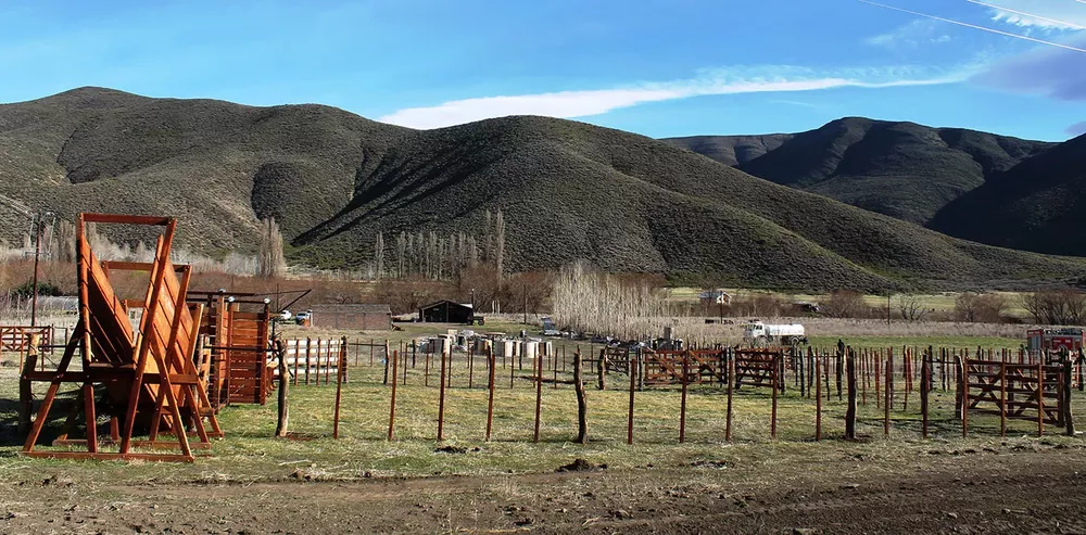 imagen_2021-09-01_210628