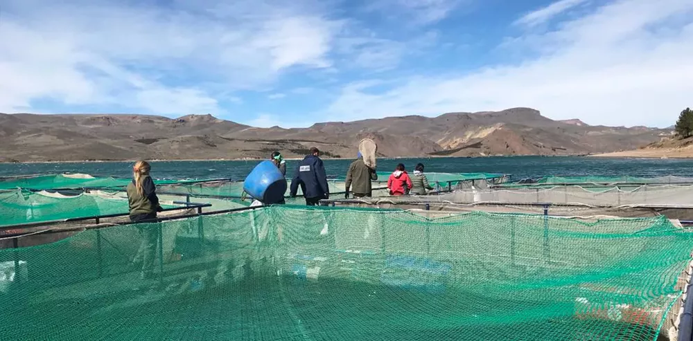 Monitorean-el-estatus-sanitario-de-los-Embalses