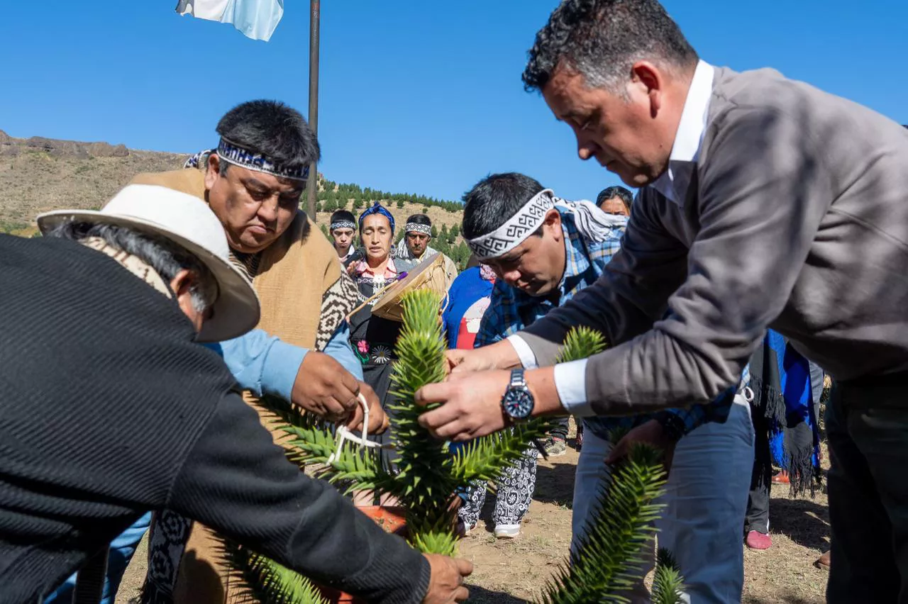 WhatsApp Image 2023-04-09 at 19.23.38