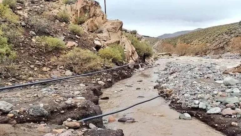 imagen_2023-06-30_093239025