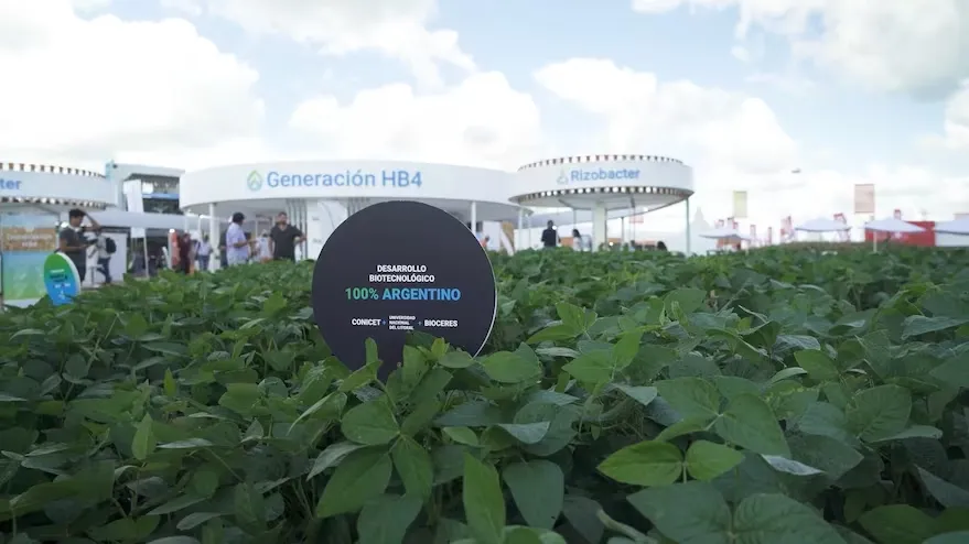 Generación-HB4-es-el-programa-de-Bioceres-que-mitiga-los-efectos-de-la-sequía-en-trigo-y-soja.