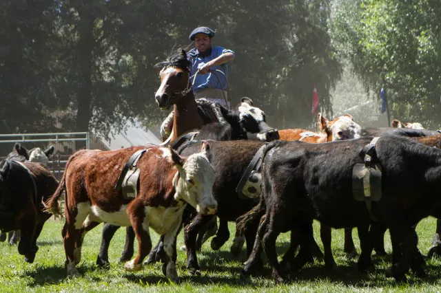 Expo-Rural-de-Neuquen-9