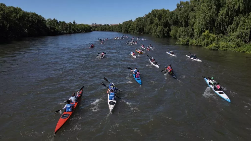 unnamed - 2022-11-22T190712.760