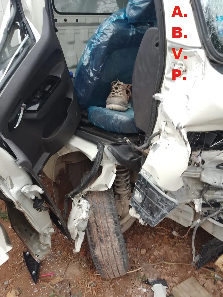 imagen_2023-07-11_205723459