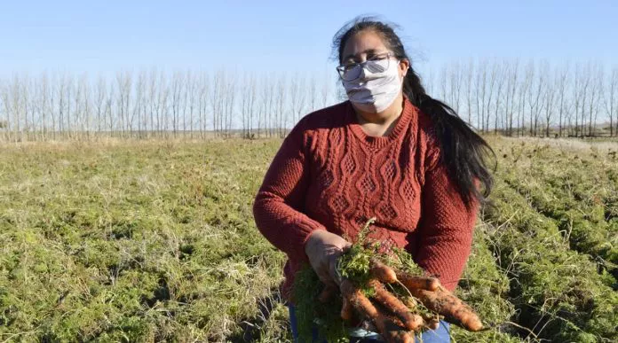 WEB-acciones-conjuntas-con-Añelo-y-Los-Chihuidos-30-696x387