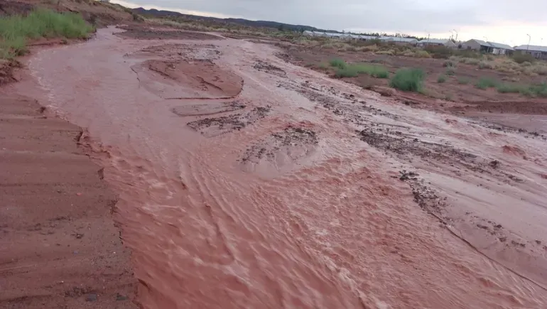 imagen_2023-06-23_085833857