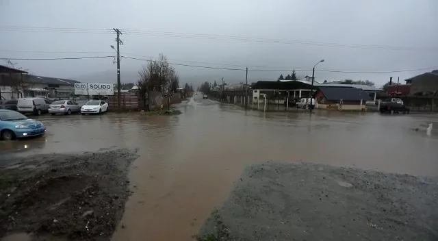 WhatsApp Video 2026-03-14 at 22.53.29