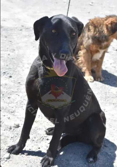 Opera Instantánea_2024-10-17_185348_www.facebook.com