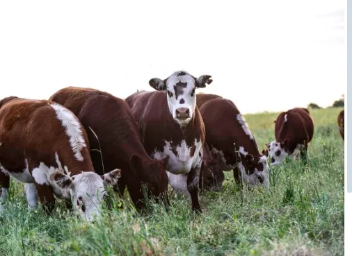 Opera Instantánea_2025-04-15_131701_www.google.com