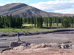 images (1)