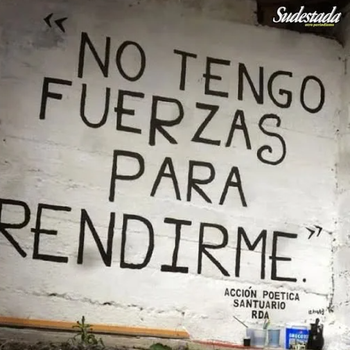 637891395_1297451252414187_6127253326670232374_n