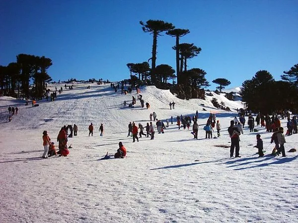 parque-de-nieve-primeros-pinos-en-neuquen