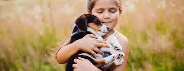 Proteccion animal