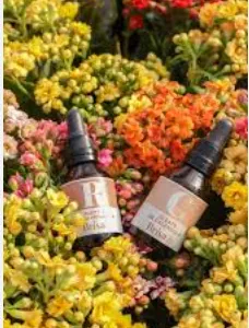 Opera Captura de pantalla_2025-07-13_202730_www.google.com