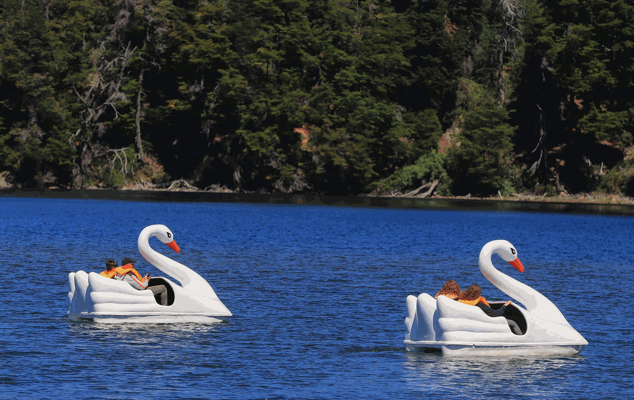 428474922_794990945997742_679123280572665066_n