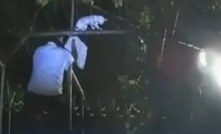 Opera Instantánea_2025-05-16_202432_www.google.com