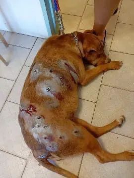 WhatsApp-Image-2025-12-29-at-22.58.08