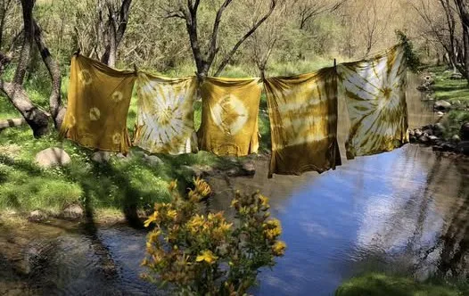 487873593_1756756391706193_1487276723836122179_