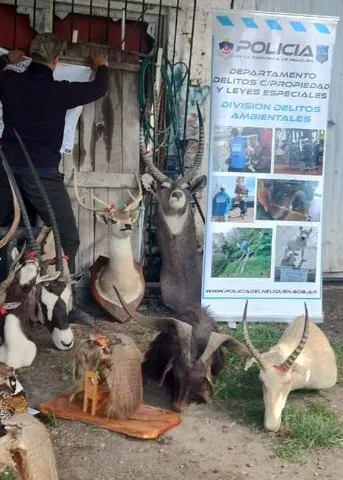 Imagen-de-WhatsApp-2024-09-19-a-las-19.25.47_848aeeb0