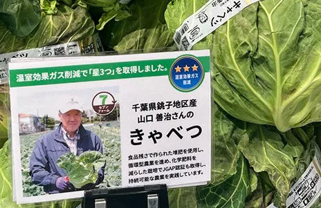 verdura con rostro japón