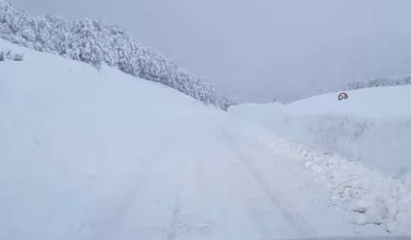 ruta 231 cardenal samoré