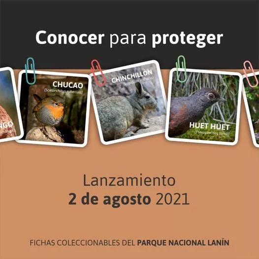 imagen_2021-07-26_121449