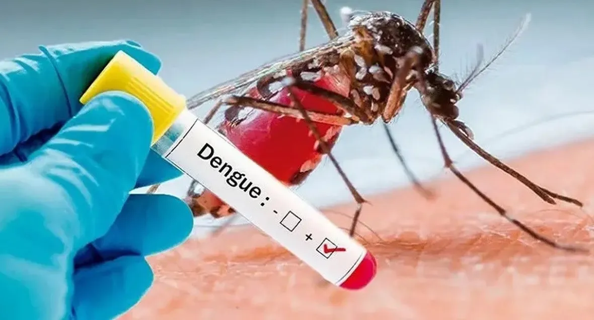 Dengue.test