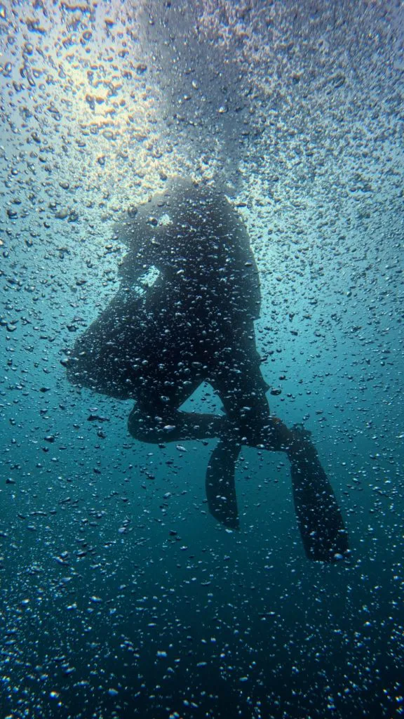 61eb96cc-0689-48c2-a28a-d11a7e87e820-576x1024