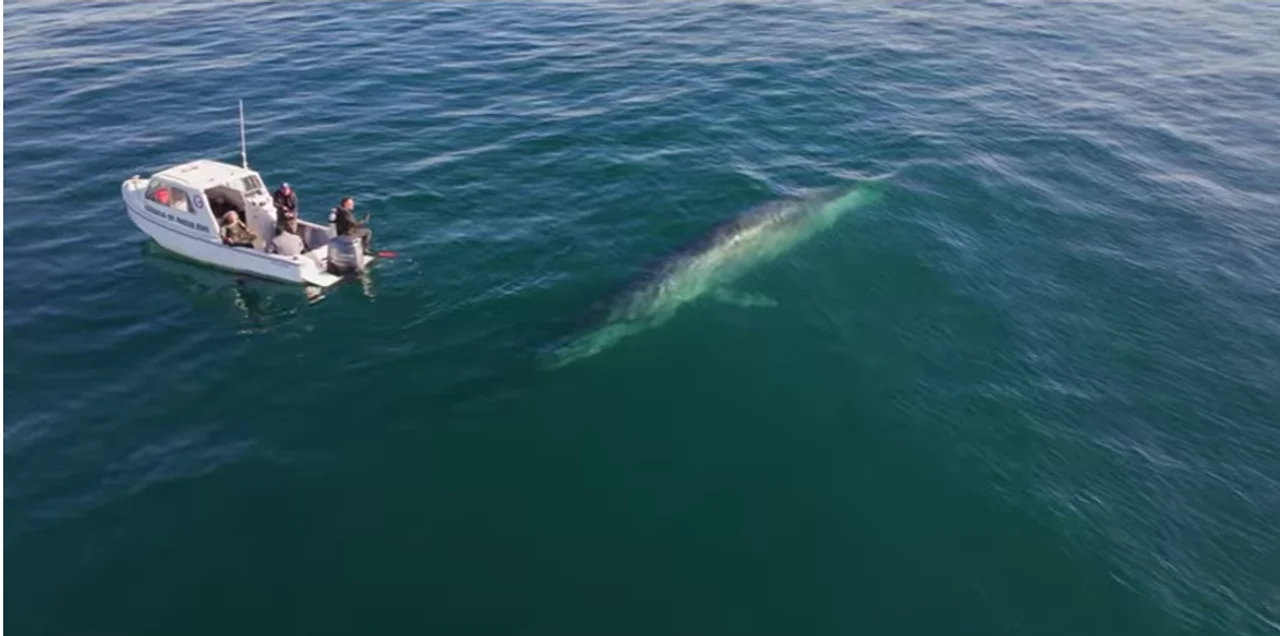 720 - 2025-11-29T102939.780