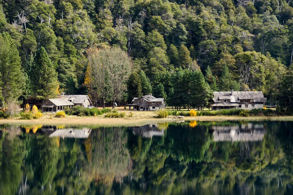 Bosques de la cordillera neuquina 1