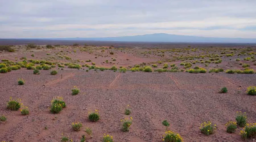 c1fe9a95-8f67-4885-9aeb-5e53f67fe319