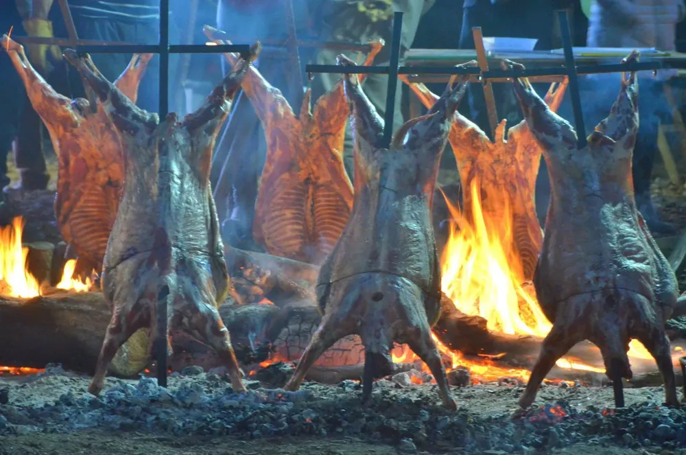 gastro 4