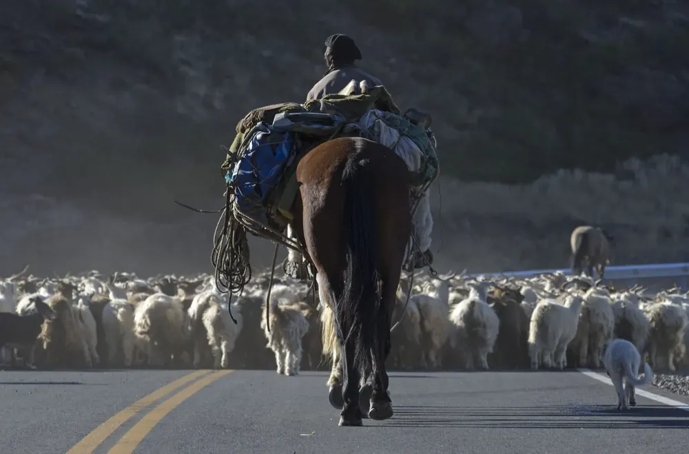 R-43-Andacollo-6-1536x1014