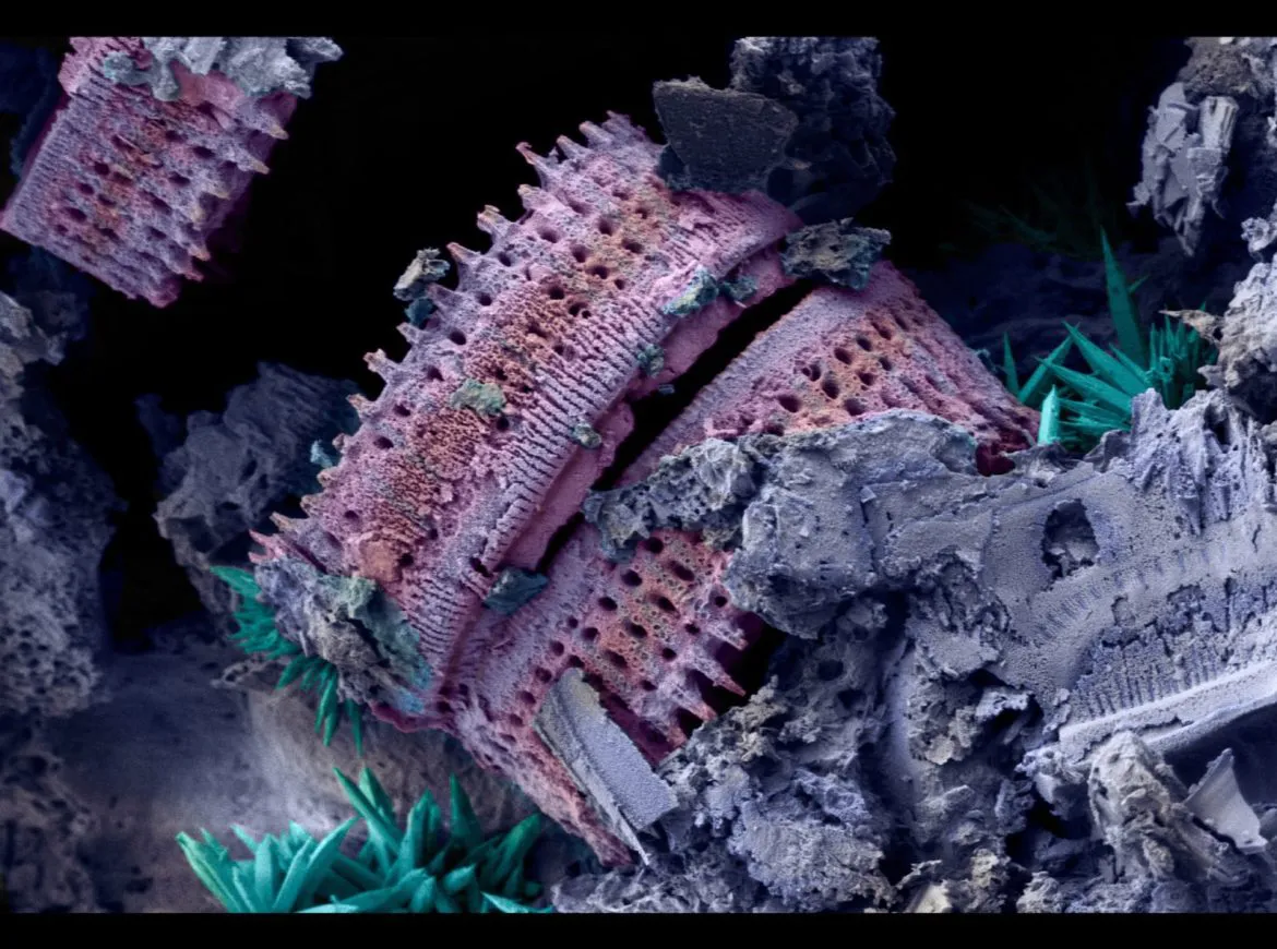 a652ecf2-c7bd-4598-b31e-9837c5b3338d-1170x870