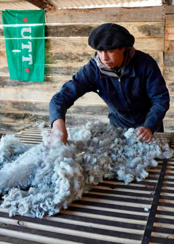 Imagen-de-WhatsApp-2025-10-13-a-las-11.38.18_f3c86b6b