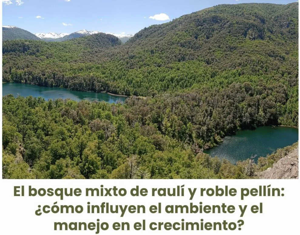 CREUSMA